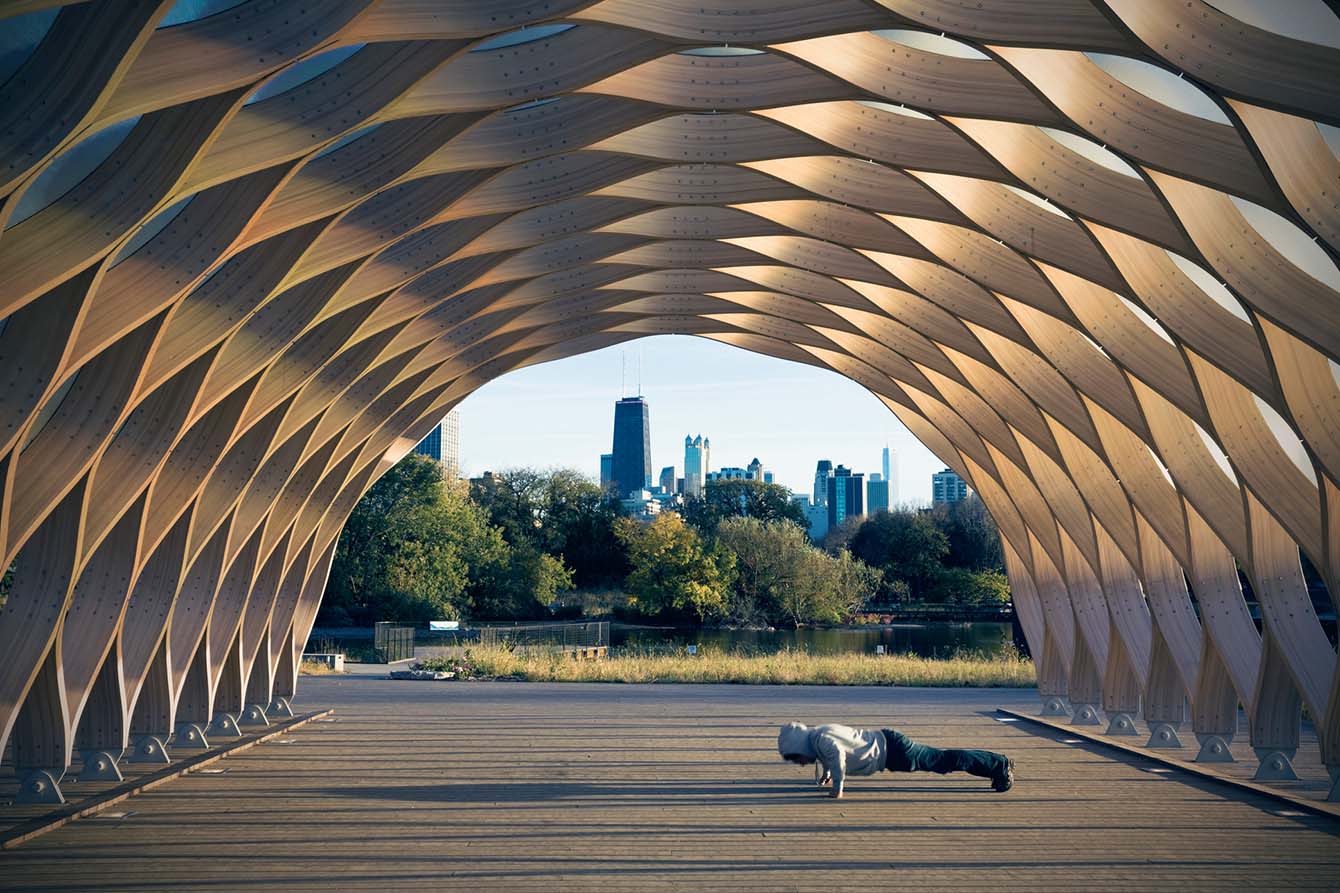 Person doing pushups under a honeycomb sculpture with Lincoln Park and downtown Chicago in the backdrop